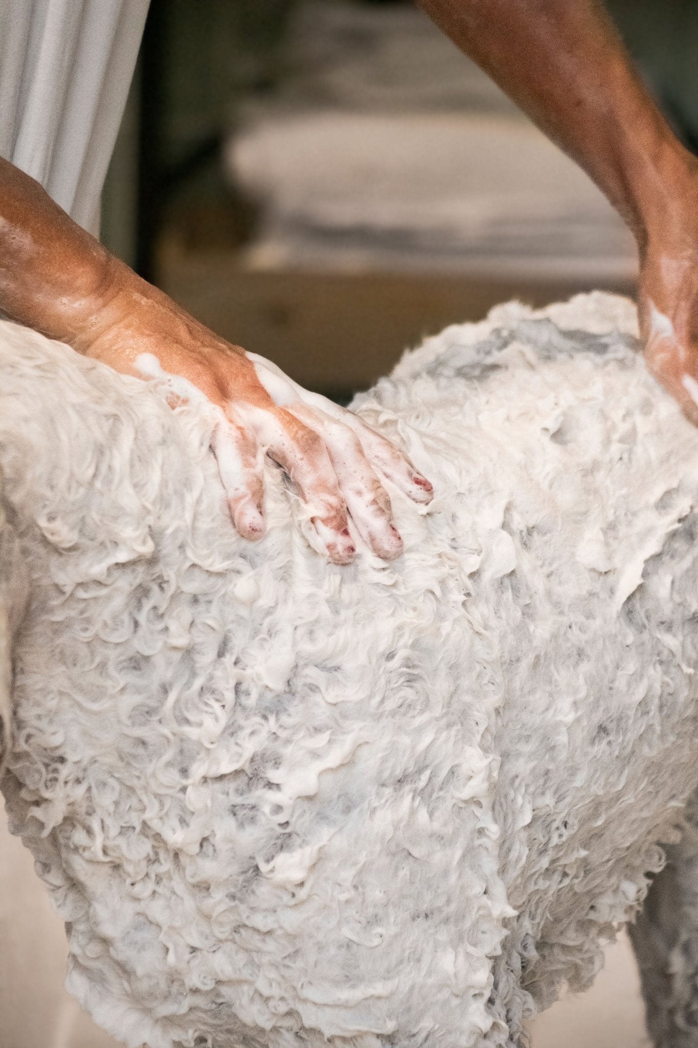 Why Dog Shampoo Dilution Ratios Matter More Than You Think